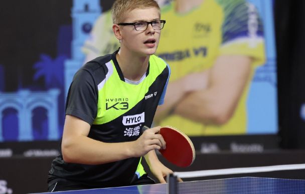 了他们学习 了他们学习