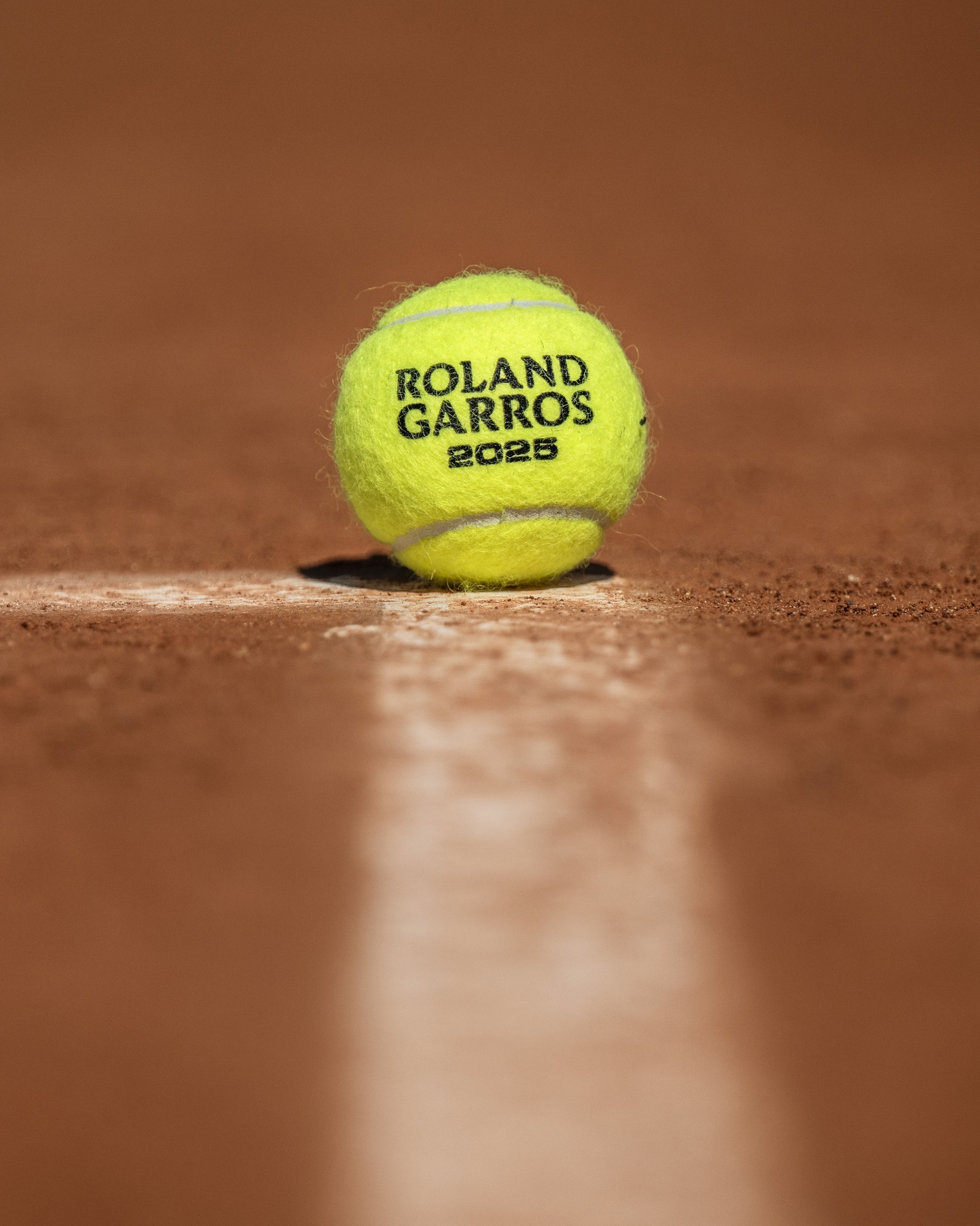 这是条转会 这是条转会